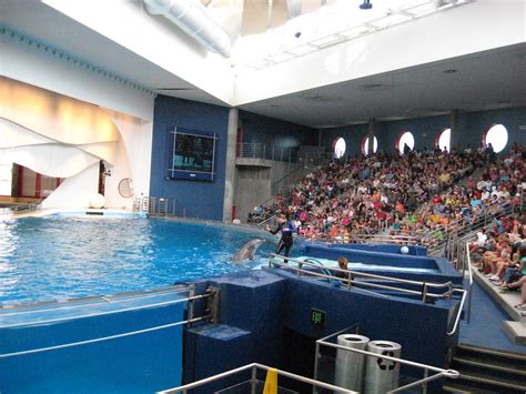 50 Photos Of National Aquarium In Baltimore Boomsbeat
