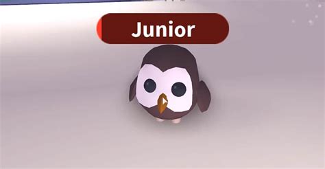 As soon as more any active code becomes 06.03.2020 · how to redeem adopt me codes in 2021. Adopt Me: How Much is an Owl Worth - CaffeinatedGamer