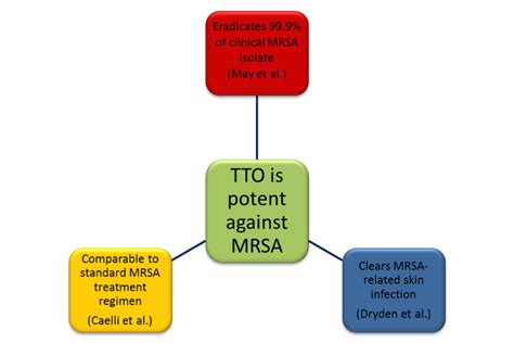 Tea Tree Oil Treatment Of Mrsa Microbewiki