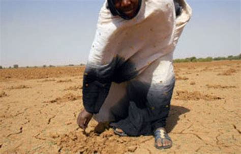 Sahel Region Faces Renewed Drought Crisis The Mail And Guardian