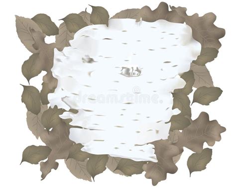 Piece Of Birch Bark Stock Vector Illustration Of Decoration 36242412