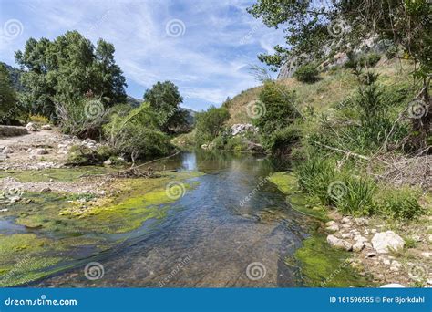 Rio Guadiaro River Andalusia Spain Stock Image Image Of Andalusia