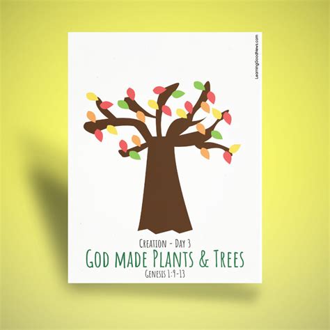 Creation Day 3 God Made Plants And Trees Learning Good News