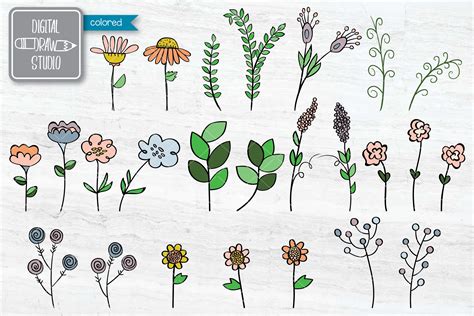 Meadow Ferns And Wild Flowers Color Hand Drawn Nature 865555