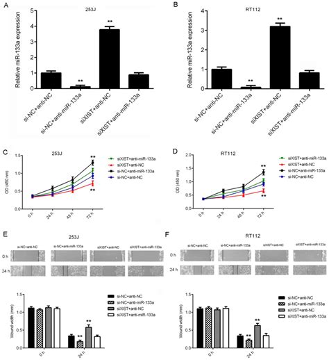 long non‑coding rna xist promotes cell proliferation and migration through targeting mir‑133a in