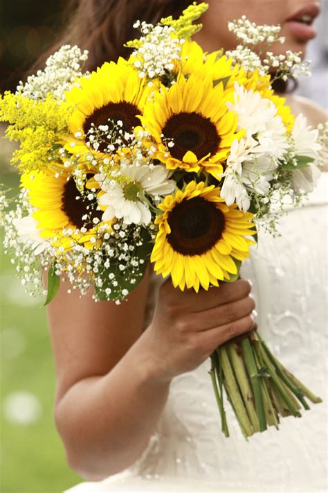 Sunflowers And Babys Breath Sunflower Wedding Bouquet Sunflower