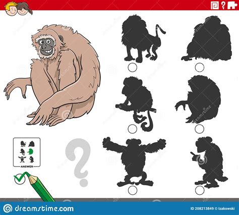 Shadows Task With Cartoon Gibbon Ape Animal Character Stock Vector