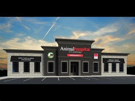 Animal Hospital of Cambridge 621 Hespeler Road - YouTube