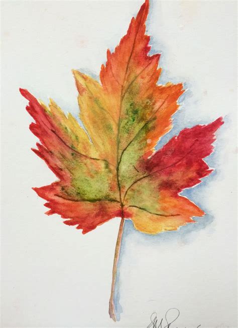 17 Best Images About Maple Leaves On Pinterest Abstract Drawings