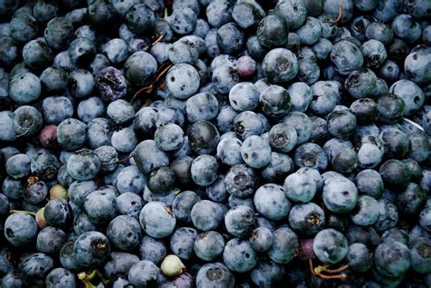 Fresh Blueberries Original Public Domain Free Photo Rawpixel