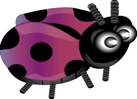 Pink Ladybug Clipart Digital Vector Ladybird Ladybug Clip Art Clip Art Library