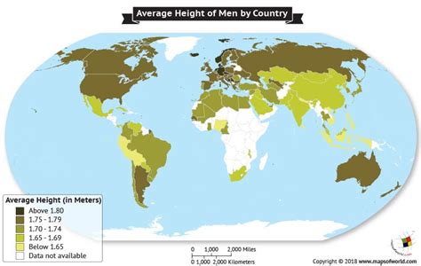 What Is The Average Height Of Males Around The World Answers Map
