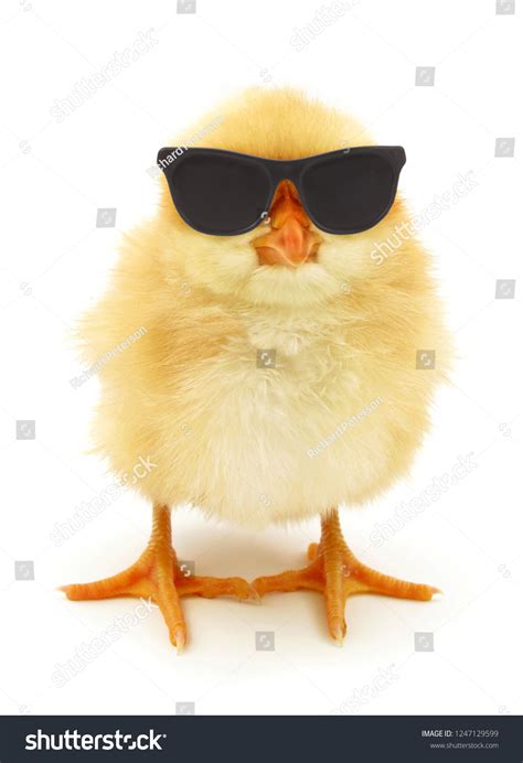 Cool Chick Images Stock Photos And Vectors Shutterstock