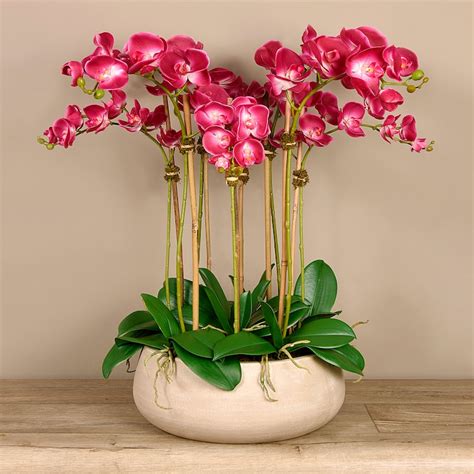 Large Silk Faux Pink Orchid Arrangement With Wide Concrete Etsy