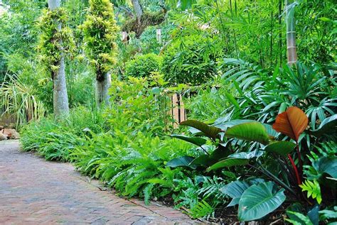 Most Amazing Tropical Garden Landscaping Ideas Daily Home List