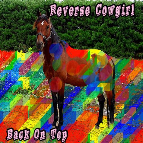 Reverse Cowgirl Back On Top Reverse Cowgirl Protofrustration
