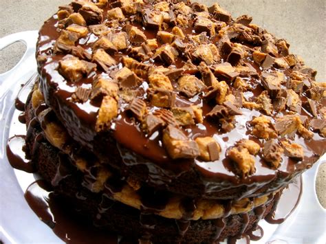 Place the peanut butter mousse in a pipping bag fitted with a tip of your choice (i used a 1m tip). The Crossley's: Chocolate Reese's Mousse Cake