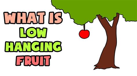 What Is Low Hanging Fruit Explained In 2 Min Youtube