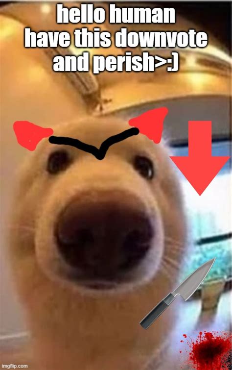 Evil Dog Imgflip