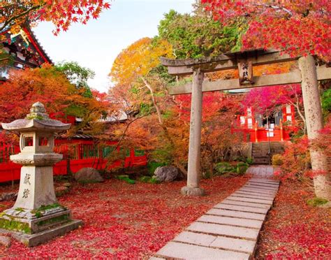 Fall Foliage In Tokyo Arigato Travel