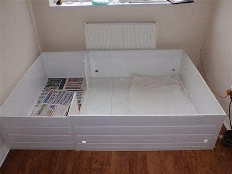 Top 10 Senior Cat Health Tips for Your Aging Feline ...