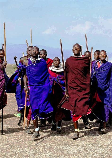 Tanzanie Des Massaï Expulsés De Terres Ancestrales Pour Faire Place à Des Réserves Privées