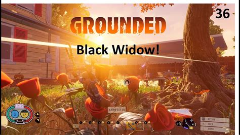 Grounded Black Widow Youtube