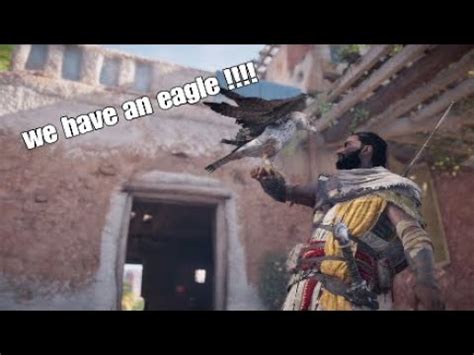 The horses and camels are a boon, but sometimes they'll start trotting casually instead of running full speed, which can be a nuissance. Mr speedy camel|Assassins Creed Origins #1 - YouTube