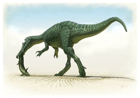 Baryonyx Pictures And Facts The Dinosaur Database