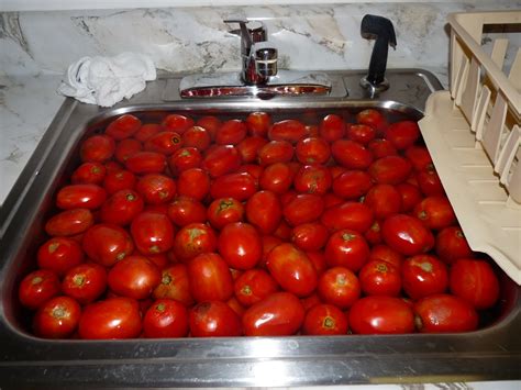 Bigger Than Christmas The Lost Art Of Jarring Tomato Sauce Pomato