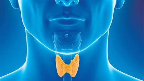 Thyroid Problem Everything About Symptoms Of Thyroid Imbalance In