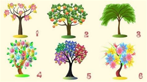 Tes Kepribadian Pilih Simbol Pohon Dapatkan Pesan Khusus Untuk