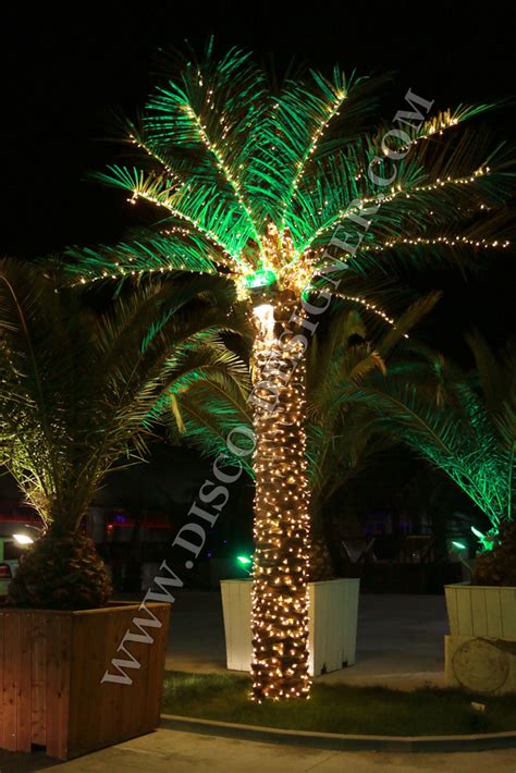 Outdoor Led Lighted Palm Trees Outdoor Lighting Ideas