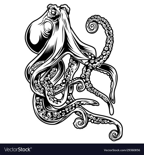 Big Octopus Drawing Black Amp White Royalty Free Vector