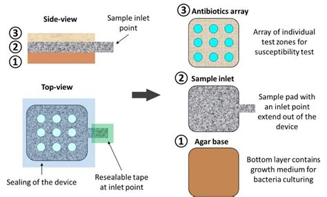 Lasers Used To Make Rapid Antibiotic Resistance Test