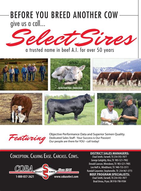 The Cattleman Magazine 20th Annual Bull Buyers Guide By Tscra The Cattleman Magazine Issuu
