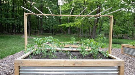 Diy Garden Trellis From Pvc String And Plastic Clips Youtube