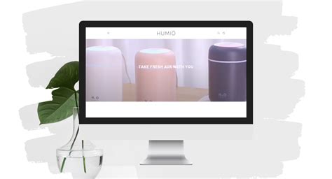 — starter site listed on flippa shopify humidifier business branded one product