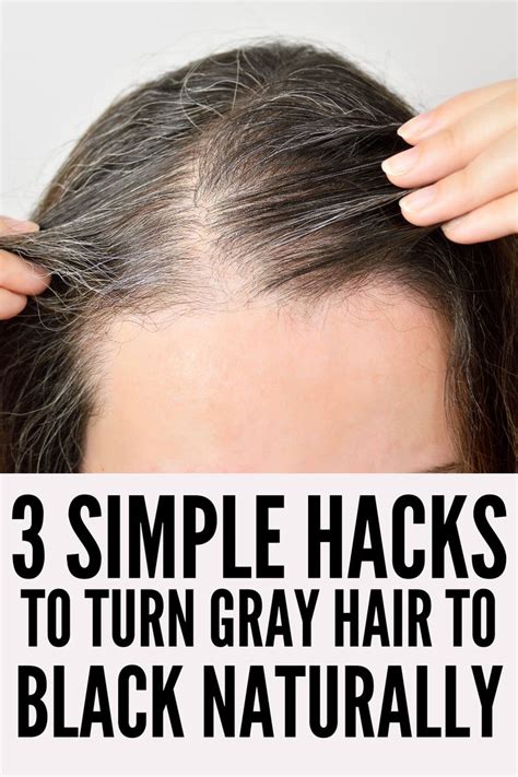 How To Turn Gray Hair To Black Naturally Black And Grey Hair