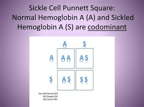 Sickle Cell Punnett Square
