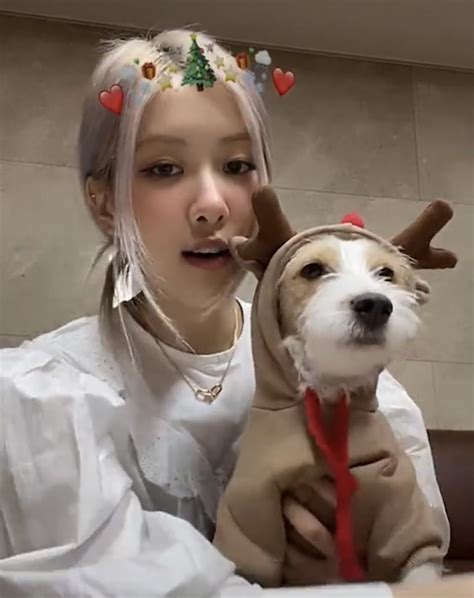 Blinks Discover Just How Many Times Blackpinks Rosé Changed Her Dogs