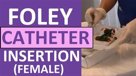 Foley Catheter Insertion Female How To Insert A Foley Catheter