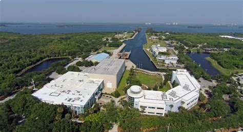 Marking Half A Century Florida Atlantic University