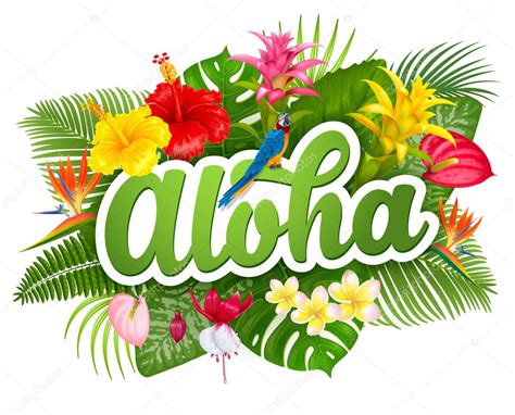 Aloha Hawaii Lettering And Tropical Plants Stock Vector Pazhyna