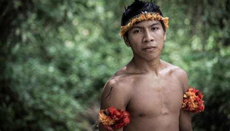 catalyst the awá indians earth s most threatened tribe in the amazon rainforest