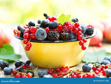 Fresh Berries In A Bowl Stock Image Image Of Still Tasty 57767519
