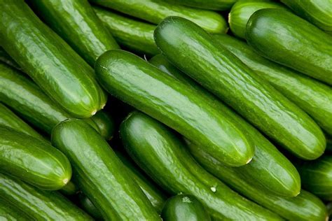 Top 10 Mistakes In Cucumber Farming Veggie Grow