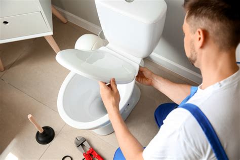 How Do You Install A Toilet Mike Diamond