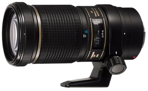 Top 10 Best Tamron Lenses For Canon Cameras In 2021
