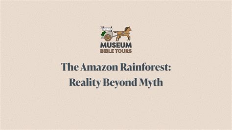 The Amazon Rainforest Reality Beyond Myth Preview Youtube